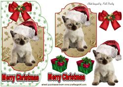 Cute Kitty in Santa Hat, Topper and Card