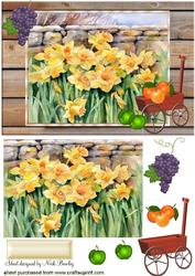 In the Garden with Daffodils, & Fruit