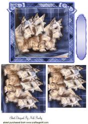 White Scotties in Blue Tartan Frame Pyramids