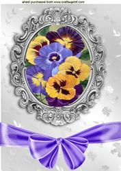 Pretty Coloured Pansies in Ornate Frame with Bow A4