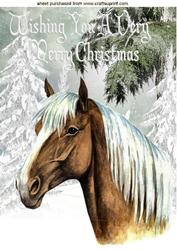 Beautiful Palamino Horse in the Snow A4