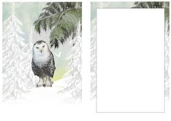 Snowy White Owl in Snow Scene A5 Insert