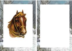 Horse in a Field of Snow A5 Insert