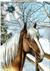 Palamino Horse in a Field of Snow Covered Trees A4