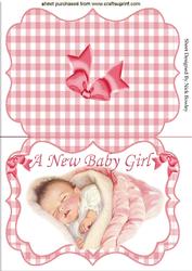 A New Baby Girl! Gingham Bracket Card