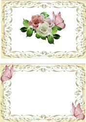 Pink and White Roses A5 Insert