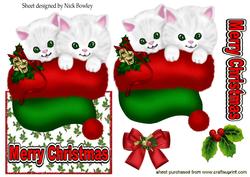 Cute Kittens in Santa Hat, Over the Edge Card