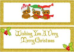 Cute Owls in Christmas Hats Dl Insert