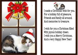 Card & Insert of Cat in Santa Hat in the Window
