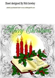 Beautiful Card Front 8x8 of Holly & Bible