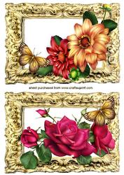 Dahlias and Celebration Pink Roses Cards
