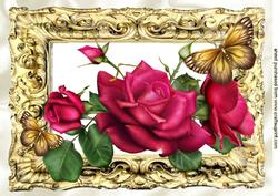 Celebration Pink Roses & Butterflies in Ornate Frame A4