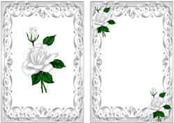 White Roses in Ornate Frame A5 Insert
