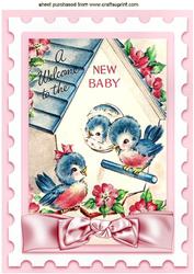 A Welcome to the New Baby! Little Birds A4
