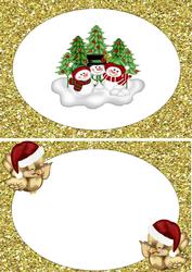 Snow Much Fun with Cute Little Robins A5 Insert