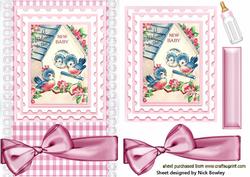 Welcome Baby Girl, and Baby Birds Card & Topper