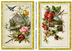 Card Fronts of Beautiful Birds with Roses