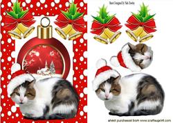 Cat with Santa Hat and Winter Scene Bauble