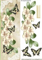 Pretty Cream Flowers and Butterflies Tall Dl