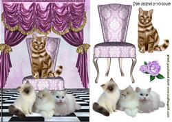 Cats and Kittens with Chair and Satin Drapes