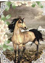 Beautiful Horse by the Edge of the Sea Shore with Flowers A4