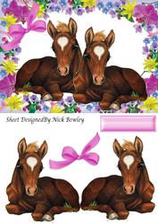 Pair of Cute Foals Laying Down in Floral Frame
