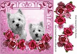 Peekaboo Westies with Pink Roses and Bows 8x8