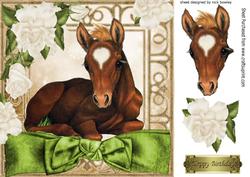 Pretty Foal with Cream Roses and Big Bow 8x8