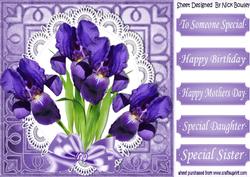 Pretty Purple Irisis with Satin Bow on Lace 8x8