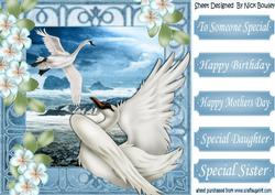 Beautiful Swans with the Blue Ocean & Flowers 8x8