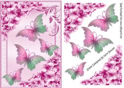 Pretty Chrysanthemums in Pink with Butterflies
