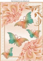 Pretty Chrysanthemums in Peach with Butterflies A4