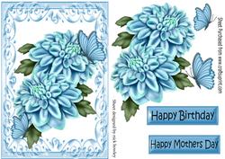 Pretty Blue Chrysanthemums, & Butterflies