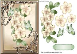 Pretty Cream Flowers with Green Butterflies in Ornate Frame