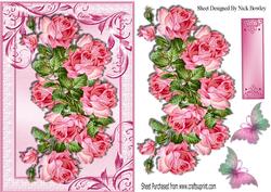 Beautiful Wild Pink Roses with Butterflies