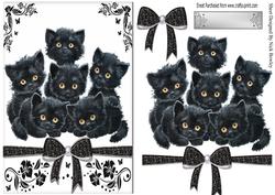 Cute Kitties with Bow in Black/whiteornate Frame