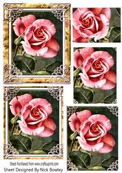 Single Pink Rose in Gold Ornate Frame Pyramids
