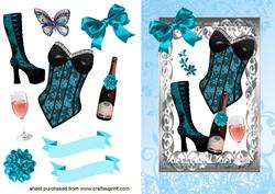 Lovely Ladies Accessories in Silver Frame