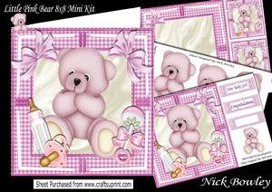 Gorgeous Little Pink Bear with Gingham & Bows 8x8 Mini Kit