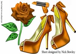 Pretty Orange and Pearl Shoes on Lace with Rose A4
