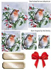 Robin in the Snow Eating Berries Pyramids