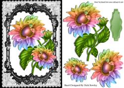 Pretty Rainbow Sunflowers in a Black Lace Frame