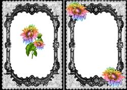 Pretty Rainbow Sunflowers in a Black Lace Frame A5 Insert