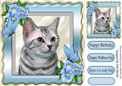 Grey Kitty with Flowers and Butterflies 8x8
