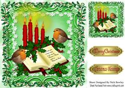 Lovely Bible with Holly and Robins 8x8