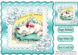 Caught Napping Cute Kitten on a Cushion 8x8