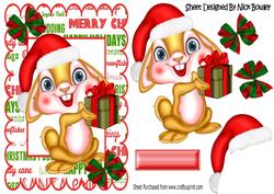 A Present for You for Christmas, Christmas Bunny