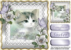 Pretty Grey Kitten with Magnolias on Lace 8x8