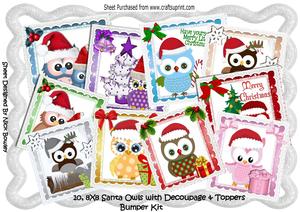 10, 8x8 Christmas Owls in Santa Hats with Toppers Kit