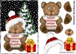 Cute Teddy in Santa Hat for Grandaughter